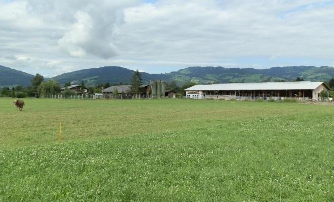 Steigmatt Bauernhof- Erlebnis Villa Montlingen Exterior photo